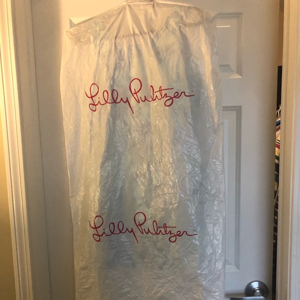 Lilly Pulitzer Dress - Picture 7 of 7